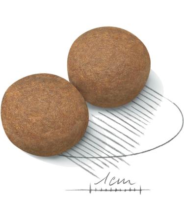 ROYAL CANIN 15kg Maxi Adult Dry Dog Food - Buy Online on GoSupps.com