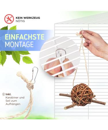 Vogelgaleria 2 Set Business Hay Pasture Ball 10cm - Best Budgie Toy for Climbing & Nibbling | Handmade Bird Accessories - Buy Online on GoSupps.com