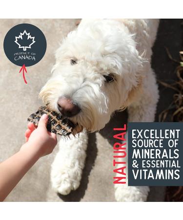 Natural Grain-Free Salmon & Liver Dog Treats - Training Treats for Puppies | Pet Craft Supply - Buy Online on GoSupps.com