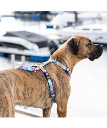 Max & Molly H-Harness - Blue Ocean XS | International Shipping Available | Durable & Stylish Pet Harness - Buy Online on GoSupps.com