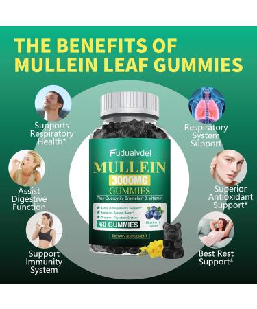 2 Packs 3000MG Organic Mullein Gummies for Lung Mullein Leaf Extract for Lungs - Quercetin Bromelain for Respiration Immune and Digestive Support 120 Count Blueberry Gummys 60 Count (Pack of 2) - Buy Online on GoSupps.com