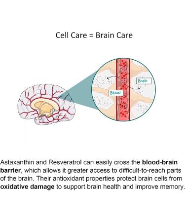 Astaxanthin Supplements 24mg Gummies with Resveratrol Vitamin B1 Coconut Oil - Algae Organic Antioxidants for Men & Women Healthy Aging Skin Eyes Immune - Vegan Sugar-Free Non-GMO 120 Servings 60 Count (Pack of 2) - Buy Online on GoSupps.com