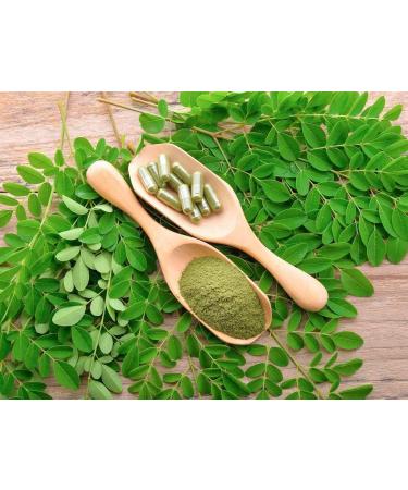 Sewanti Organic Moringa Npn 80071075 60 gram - Buy Online on GoSupps.com