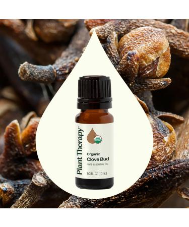 Plant Therapy Organic Clove Bud Essential Oil 10 mL (1/3 oz) & Cinnamon Bark Essential Oil 10 mL (1/3 oz) 100% Pure Undiluted Cinnamon Oil for Diffuser Spray Candle Making Spicy Sweet Scent - Buy Online on GoSupps.com