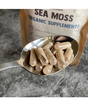 Cupplement 60 Seamoss Capsules Organic - 500 MG Capsule - Superfood - Supplements - Nutrition - Gel Powder Gummies Irish Moss - Seafoam - Minerals - Seaweed - Seamoss - Marine - Buy Online on GoSupps.com