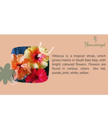 Yauvanya Pure Hibiscus Powder for Hair - 100g | Natural Hair Care & Growth International Shipping - Buy Online on GoSupps.com
