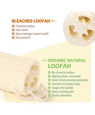 100% Organic Luffa Sponge - Natural Shower & Peeling Sponge | Eco-Friendly Body Brush for Exfoliating Dead Skin - Buy Online on GoSupps.com
