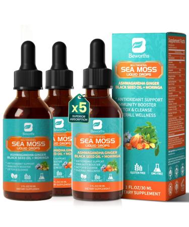3Pack Sea Moss Drops - Irish Sea Moss Chlorophyll Liquid with Black Seed Oil Ashwagandha Moringa Turmeric Elderberry Mullein Seamoss Gel Supplement for Liver Cleaner Detox & Gut Immune Support Chlorophyll 1 Fl Oz (P