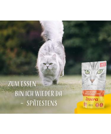 Josera Pat Huhn with Spinach - Cereal-Free Cat Food with Salmon Oil | Super Premium Wet Food for Adult Cats | 16 x 85g Pack - Buy Online on GoSupps.com