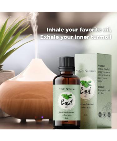 100% Pure Basil Essential Oil for Alertness - 1 oz Therapeutic Grade Aromatherapy Oil - Buy Online on GoSupps.com
