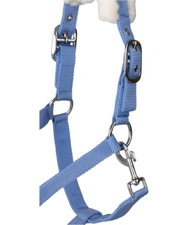 Buy RL24 Halter with Plush Padding | BASICLINE in 6 Colors for Shetland Pony Thoroughbred Warmblood - Baby Blue Available - Buy Online on GoSupps.com