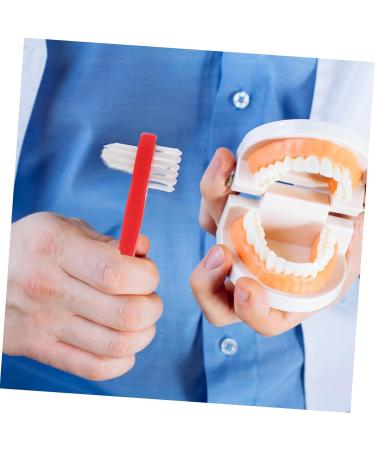 Plafope 4-Piece Soft Prosthesis Cleaning Toothbrush Set - Travel-Friendly Double Head Design for Easy Oral Care - Buy Online on GoSupps.com