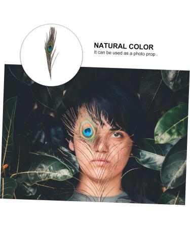 Lurrose 50pcs Peacock Tail Eye s Peacock s Peacock Tail s Peacock Eye s Crafts Natural - Buy Online on GoSupps.com