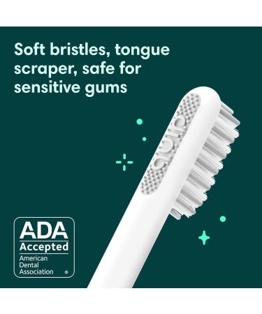 Quip Sonic Toothbrush for Adults - Electric with Timer Extra Brush Head & Travel Cover - Indigo Soft Bristle Toothbrush with 3 Month Battery Life - Buy Online on GoSupps.com
