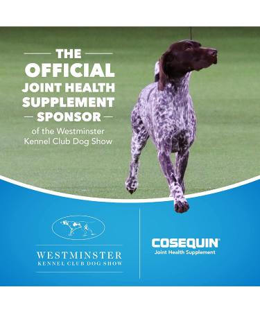 Cosequin Maximum Strength Joint Supplement for Dogs | Glucosamine & Chondroitin Plus MSM - Buy Online on GoSupps.com