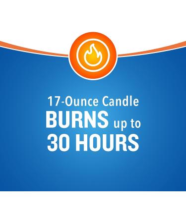 Cutter 95783 Citronella Candle | Long-Lasting Outdoor Protection | Pack of 1 | Tan Color - Buy Online on GoSupps.com