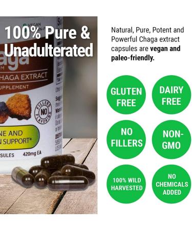 Sayan Chaga Supplements - Raw Chaga Powder (1lb) Chaga Mushroom Capsules (90 Capsules) Chaga Tea Bags (20 Bags) - Buy Online on GoSupps.com