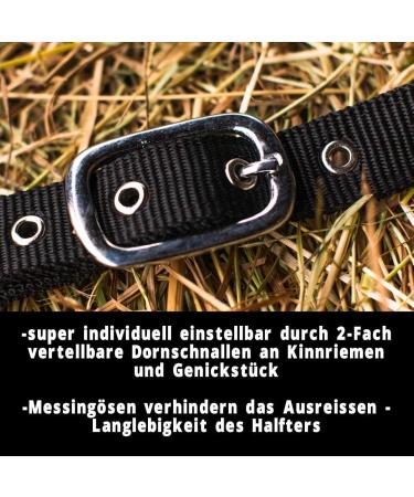 Halter for Horses with Rope | Premium Knitting Horse Halters for Pony Thoroughbred & Warmblood - Black - Buy Online on GoSupps.com