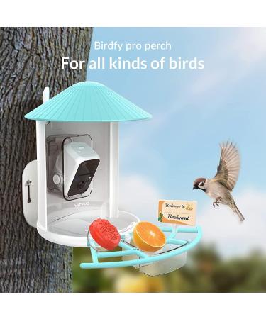 Netvue Multifunction Bird House Stand & Feeder | Versatile Bird Feeding Station for Wild Birds - Ideal for Potions Fruits & Vegetables - Buy Online on GoSupps.com