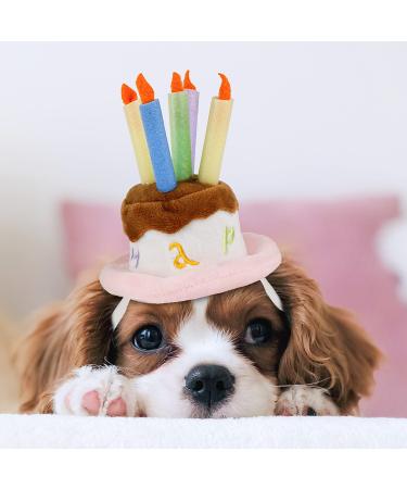 LESYPET Dog Birthday Hat, Pet Birthday Cake Hat with Candle for Dog Cat Party Costume, Pink S Birthday Hat-S