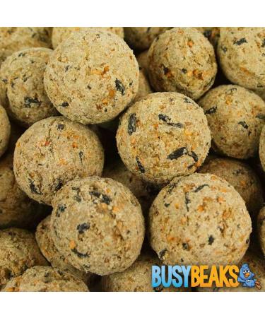 BusyBeaks Suet Fat Balls Premium Garden Wild Bird Food Enhanced Year Round Formula Naturally Blended High in Energy and Protein-Rich Feed Full of Fresh Nutritious Fat Fibre & Moisture (2.5L Tub) 1 count (Pack of 1) - Buy Online on GoSupps.com