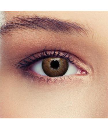 Buy 2 Brown Contact Lenses Dimension Hazel Hazelnut - Monthly -2.75 Diopters + Free Case | International Shipping - Buy Online on GoSupps.com