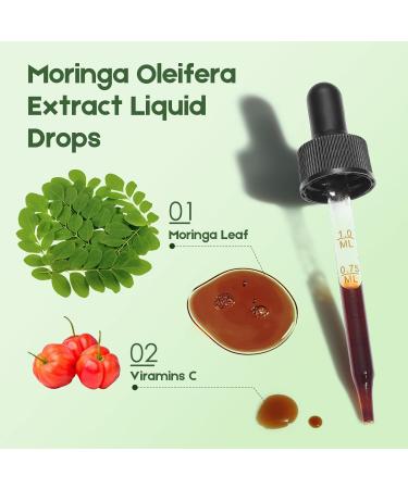 MaxuraFit Moringa Leaf Drops with Vitamin C Moringa Oleifera Extract Liquid Drops for Immunity Support Antioxidant Overall Health & Energy Vegan Herbal Supplement 2 fl oz - Buy Online on GoSupps.com
