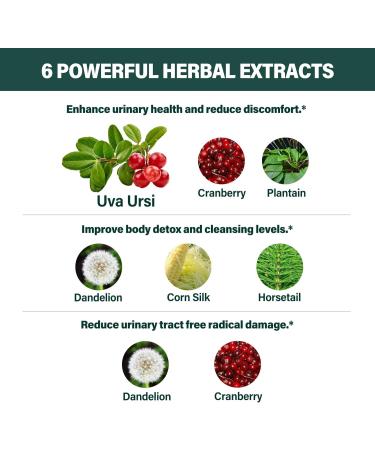 Uva Ursi Natural Diuretic Drops - Herbal Supplement for Urinary Health Kidney Detox & UTI Support | Alcohol-Free Tincture with Dandelion Root & Cranberry - 2oz - Buy Online on GoSupps.com