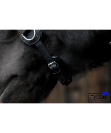 Natan Leather Cavesson for Coldbloods | Ergonomic Eye Clearance | VB WB X Full | Tysons Runs Large (XXF) - Buy Online on GoSupps.com