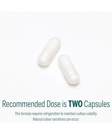 Genestra Brands HMF Capsules - 4 Strains Probiotics for Gut Health - Lactobacillus & Bifidobacterium Supplement - Non-GMO & Gluten Free - 60 Vegetarian Capsules - Buy Online on GoSupps.com