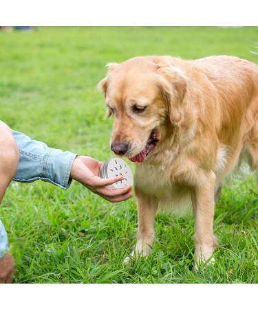 KALIONE 6 Packs Dog Scent Work Tins Scent Training Box for Dogs Small Dog Food Container Agility Training Equipment for Dogs Dog Scent Training Tools Kit Aluminum Containers for Dog Nose Training - Buy Online on GoSupps.com