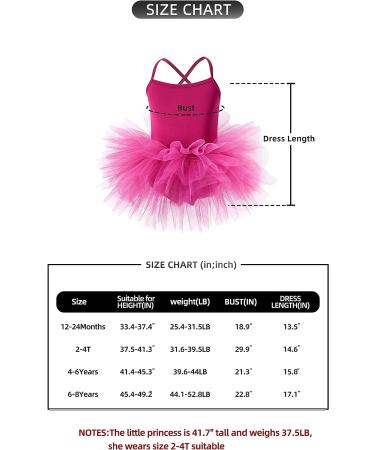 KARETT Toddler Girls Ballet Leotard & Tutu Dress | Criss Cross Back Straps | Rose Purple | 2-4T - Buy Online on GoSupps.com