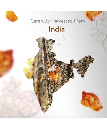 HBNO California Organic Frankincense Essential Oil 4 fl oz - USDA Certified Perfect for Skin & Aromatherapy - Buy Online on GoSupps.com