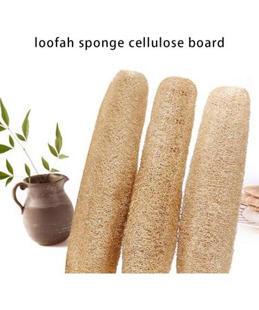 Natural Luffa Shower Sponge Set - 3 Whole Pieces for Exfoliating & Peeling | Eco-Friendly Bath & Body Washers - Buy Online on GoSupps.com