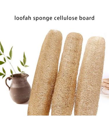 Natural Luffa Sponge - Biodegradable Exfoliating Loofah for Skin Kitchen & Laundry | 35-45 cm - Buy Online on GoSupps.com