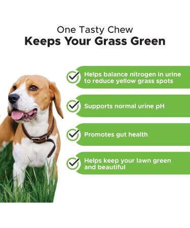 PetHonesty Grass Burn Spot Chews for Dogs - Lawn Saver Treatment with Cranberry, Apple Cider Vinegar, and DL-Methionine - 90 Duck Chews - Buy Online on GoSupps.com