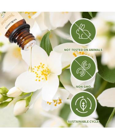 Sandalwood Jasmine Essential Oil Set - 2 x 10 ml for Diffusers Aromatherapy Soap & Candle Making | Sedbuwza - Buy Online on GoSupps.com