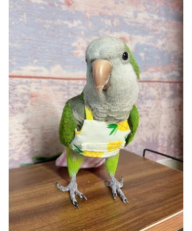 YANQIN Bird Flight Harness Vest: Medium Yellow Parrot Flight Suit with Leash for Outdoor Training & Activities - Buy Online on GoSupps.com