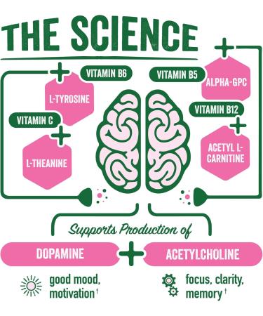 BrainJuice Daily BrainPower Mix - Watermelon | Premium Nootropic Supplement for Energy, Focus, Memory & Mood - Buy Online on GoSupps.com