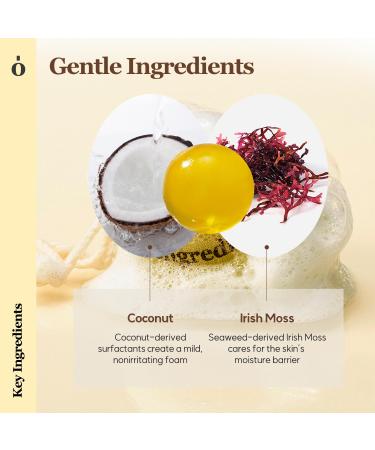 Ongredients Centella Asiatica Cleansing Ball Face Soap Bar Jelly Ball Cleanser 3.8 Ounce - Buy Online on GoSupps.com