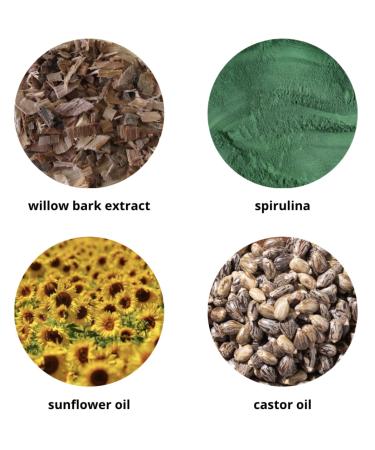 Organic Botanical Cleanser - Non-Toxic Facial Wash with Spirulina & Willow Bark Extract | Hydrating All-Natural Makeup Remover & Anti-Aging Lotion - Buy Online on GoSupps.com