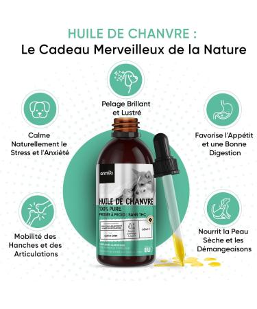 Hemp Seed Oil Dog & Cat 60ml Cold Pressed with Omega 3 6 9 - (Cannabis Sativa) - Source of Vitamins A B D - for Anxiety & Stress - Made in EU - Buy Online on GoSupps.com