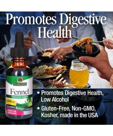Nature's Answer Fennel Seed Tincture - 1 Oz | Digestive Support & Wellness - Buy Online on GoSupps.com