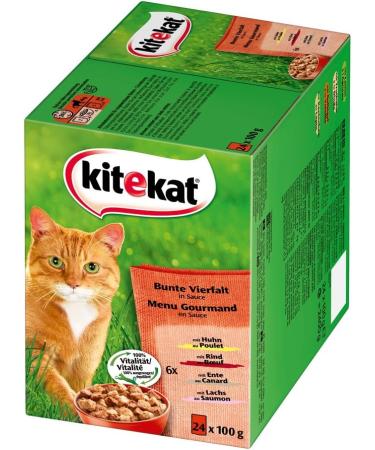 Kitekat Wet Cat Food - Colorful Variety in Sauce (48 x 100g Portions) - Premium Cat Nutrition International Shipping - Buy Online on GoSupps.com