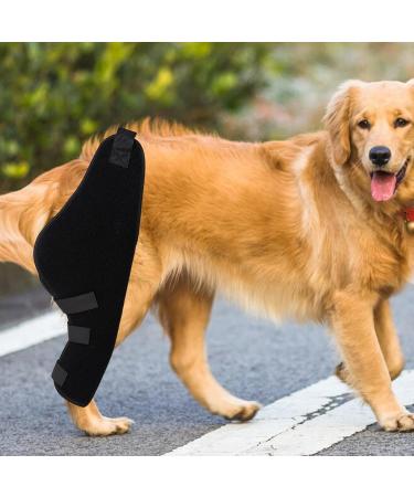 Dualoai Dog Knee Brace Adjustable Belt Durable Supportive Breathable Wrist Guard Ankle Brace for Dog Supplies Right Rear - Buy Online on GoSupps.com