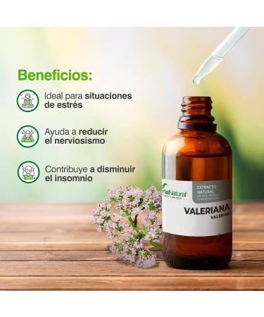 Soria Natural Valerian Natural Extract 50ml - Buy Online on GoSupps.com