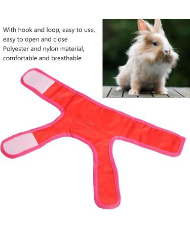 Soft Rabbit Harness with Lead for Rabbits & Guinea Pigs - Small Pet Harness & Lead Rope for Walking - Ideal for Rabbits, Kittens, Hamsters, Ferrets & Guinea Pigs - Buy Online on GoSupps.com