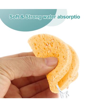 50 Natural Compressed Facial Sponges - Reusable Makeup Removal & Daily Skin Care - Buy Online on GoSupps.com