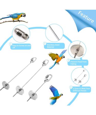 3-Pack Stainless Steel Parrot Spit & Bird Toy Holder for Nymphensittich & Budgies - Feed Hang & Treat Your Pets - Buy Online on GoSupps.com