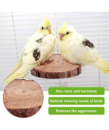 4 Natural Wood Bird Belt Rods with Rattan Balls - Budgie & Canary Cage Accessories | Vegena Nature Seat Rods Set - Buy Online on GoSupps.com